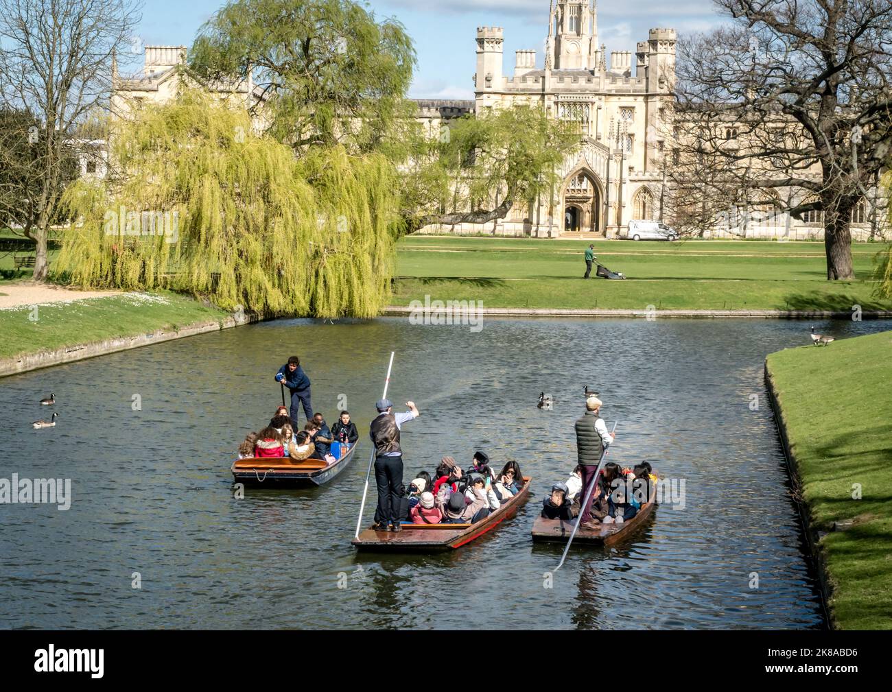 Studenti e turisti Punting on the River Cam a Cambridge con vista sui college e le università Foto Stock