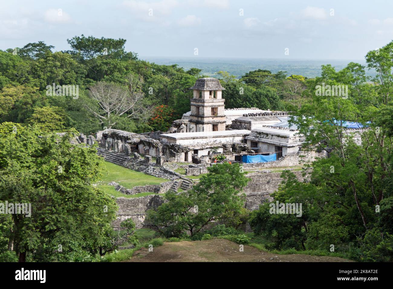 Vista del sito archeologico Maya di Palenque in Chiapas, Messico. Rovine Maya e antico edificio: Il Palazzo Foto Stock