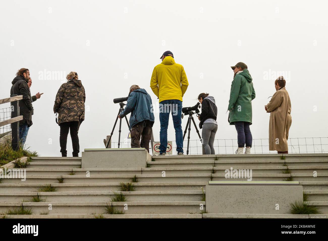 Bird watching sull'isola Wadden di Texel. Foto Stock