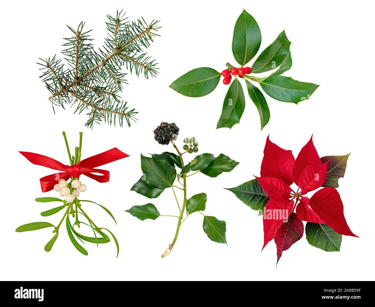 Mazzo di mistletoe legato con arco di raso rosso, ramo di agrifoglio di Natale, ramo di albero di Natale, Ivy e Poinsettia fiore di vigilia di Natale o Flor de Pascua vacanza Foto Stock