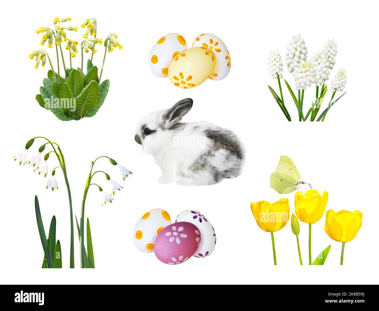 Piccolo coniglio spotty, uova di pasqua dipinte, snowdrop, muscari, cowslip, fiori di tulipano e farfalla isolato su bianco Foto Stock
