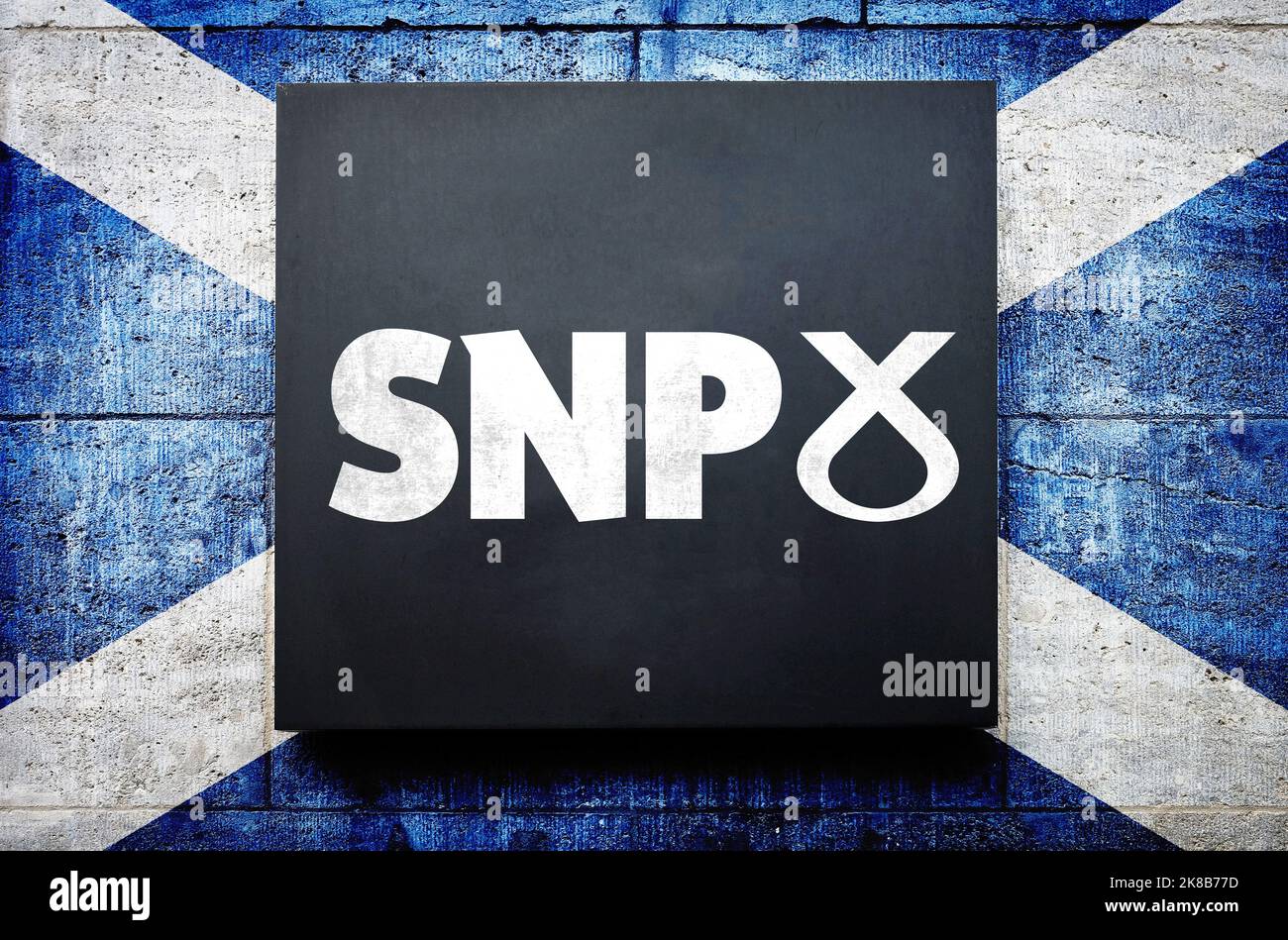 Scottish National Party nel Regno Unito Foto Stock