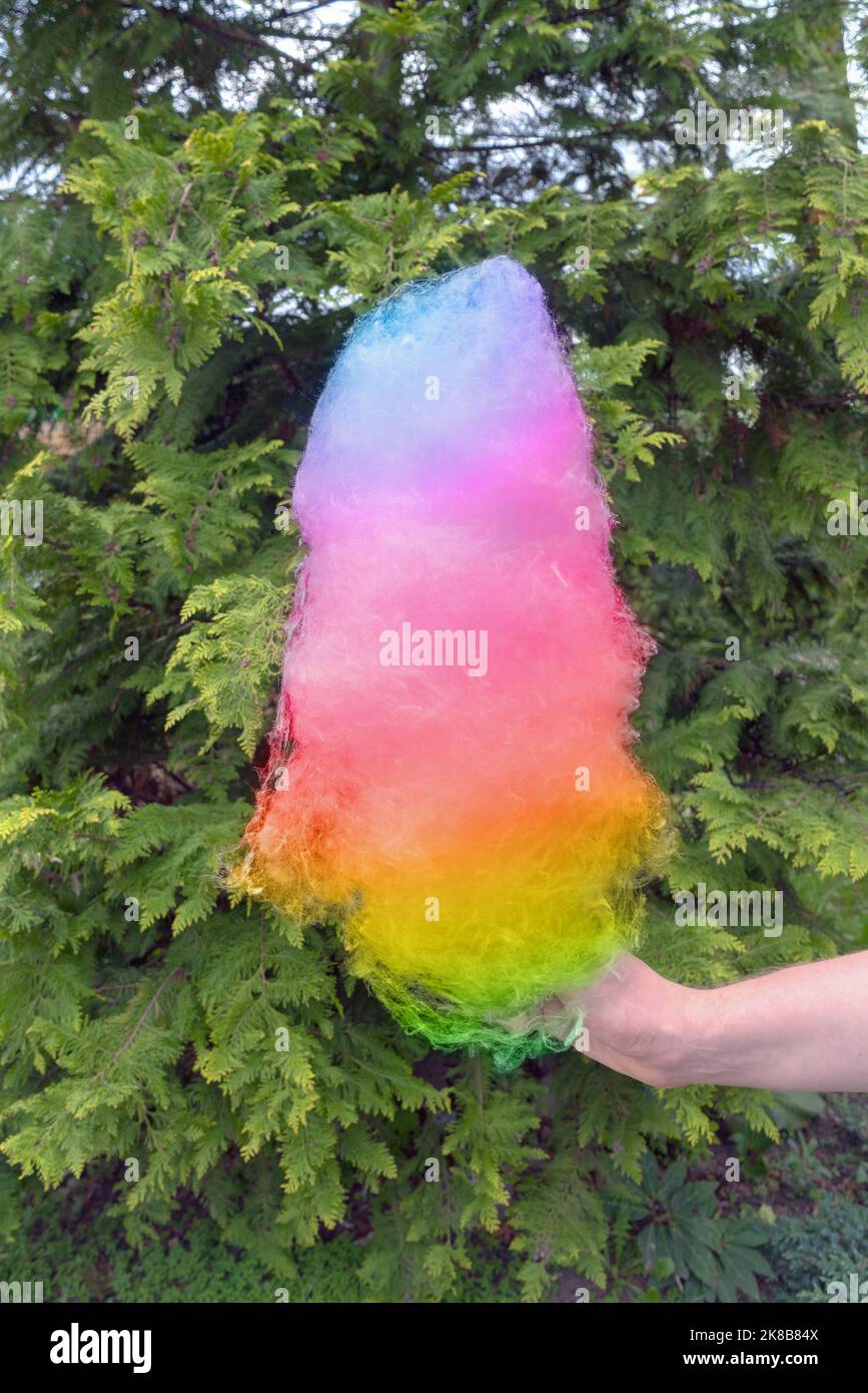 mano che tiene arcobaleno colorato zucchero cotton caramella contro gli alberi di thuja Foto Stock