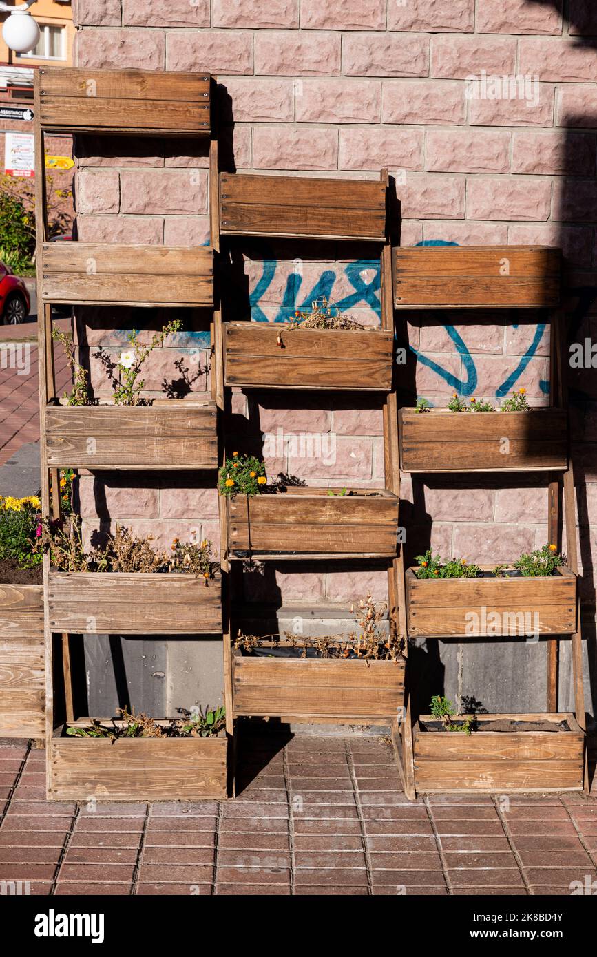 Vetrine e scaffali nel centro giardino con piantine, decorazioni e articoli per il giardino nel centro commerciale. Foto Stock