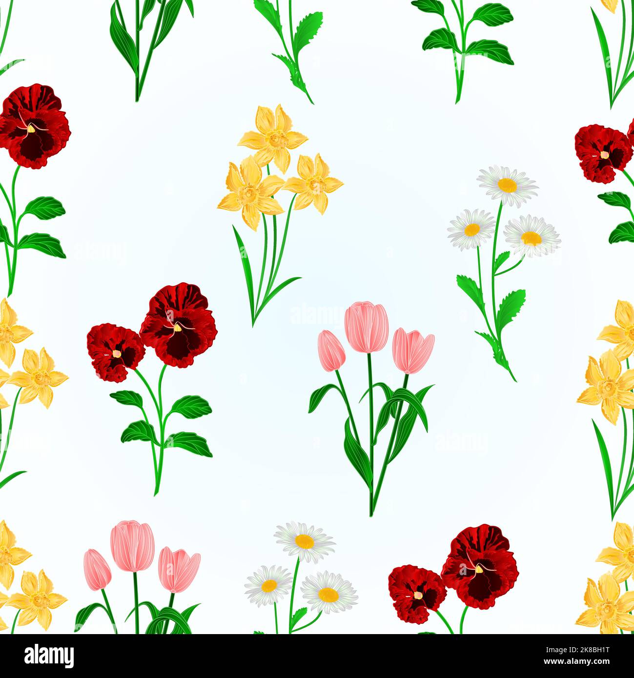 Texture senza cuciture primavera fiori Daffodils, Pansies, tulipani e margherite vintage vettore botanico illustrazione mano disegno modificabile Illustrazione Vettoriale