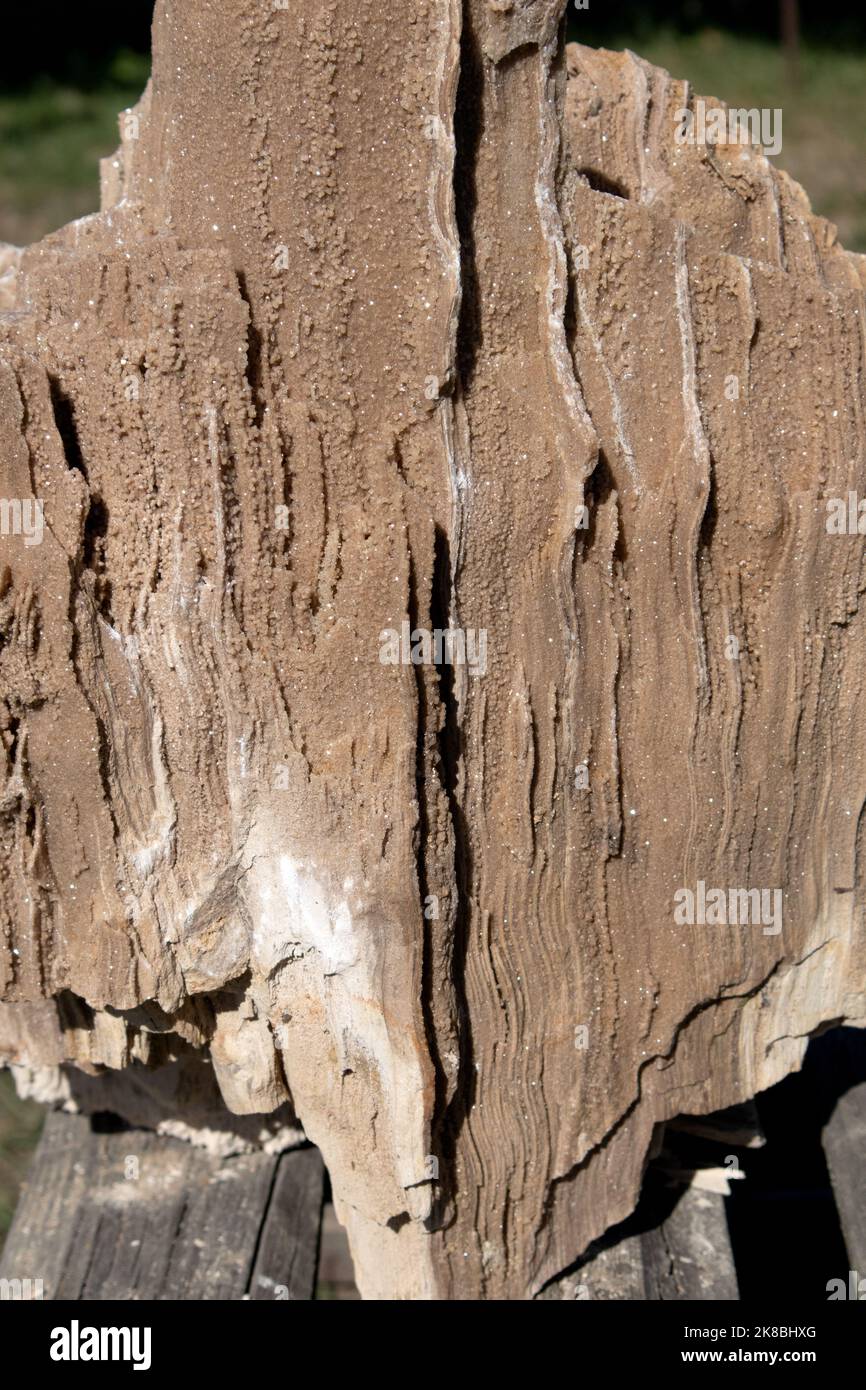 Antico vecchio legno pietrificato, scavi, minerali, come sfondo bello primo piano vista frontale stretta linea di messa a fuoco, profondità poco profonda del campo macro Foto Stock