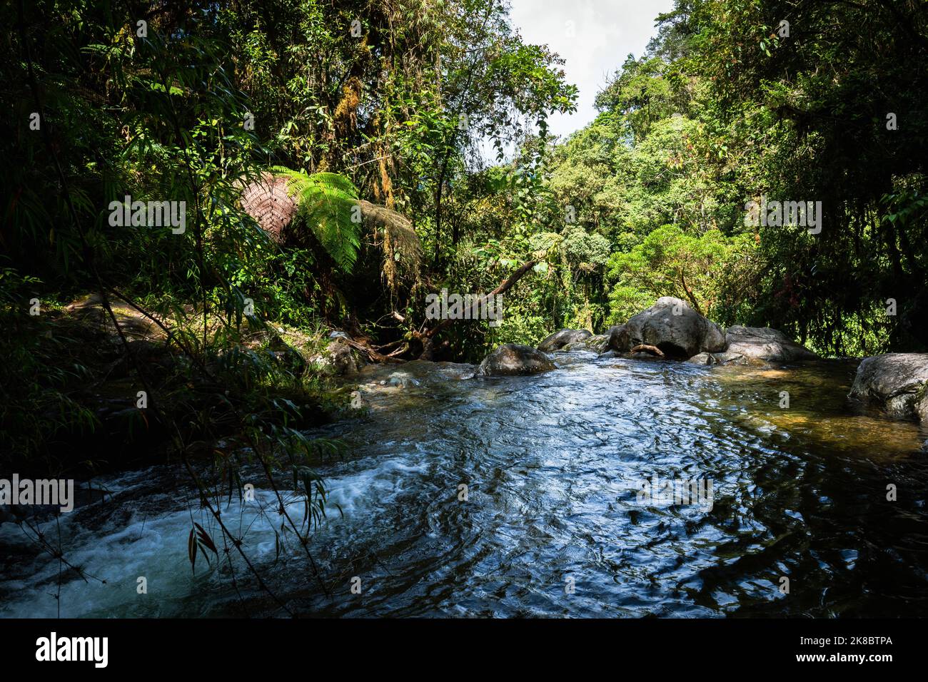 Percorso della giungla per le cascate perdute a Boquete, Panama. Foto Stock