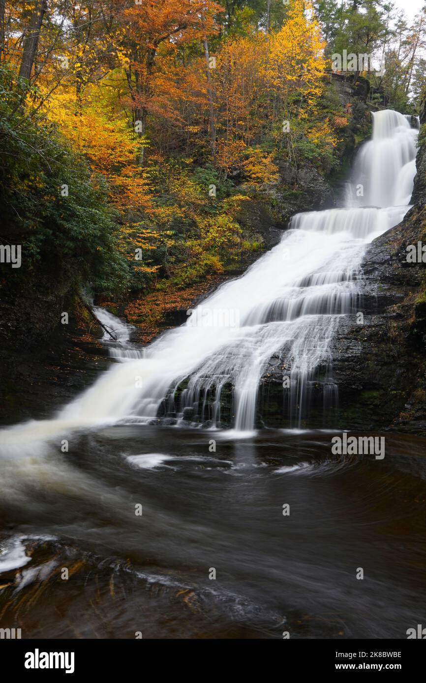 Fogliame di caduta intorno a Dingmans Falls nel Delaware Water Gap Park in Pennsylvania Foto Stock