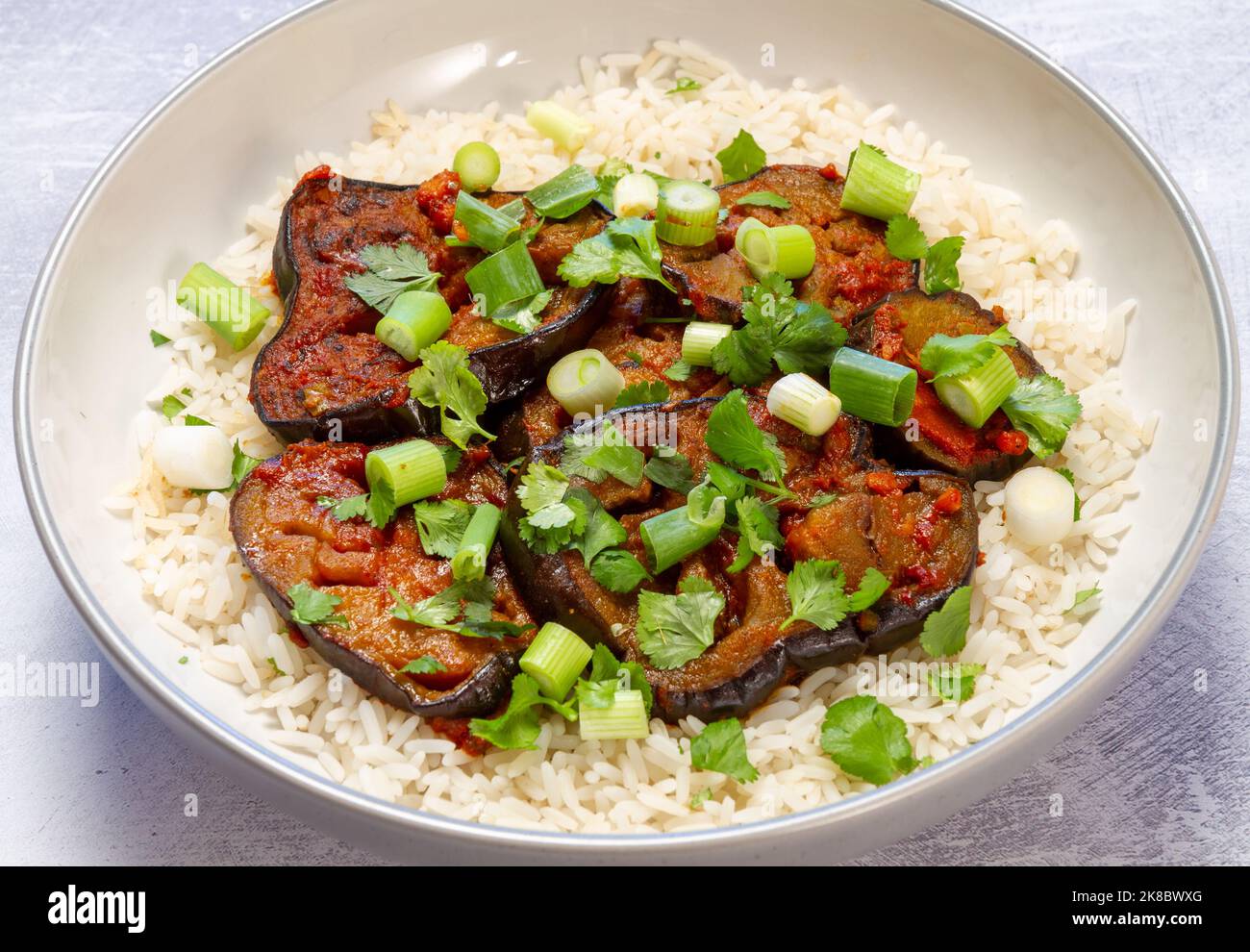 Curry di melanzana speziato dell'India occidentale e riso a grani lunghi Foto Stock