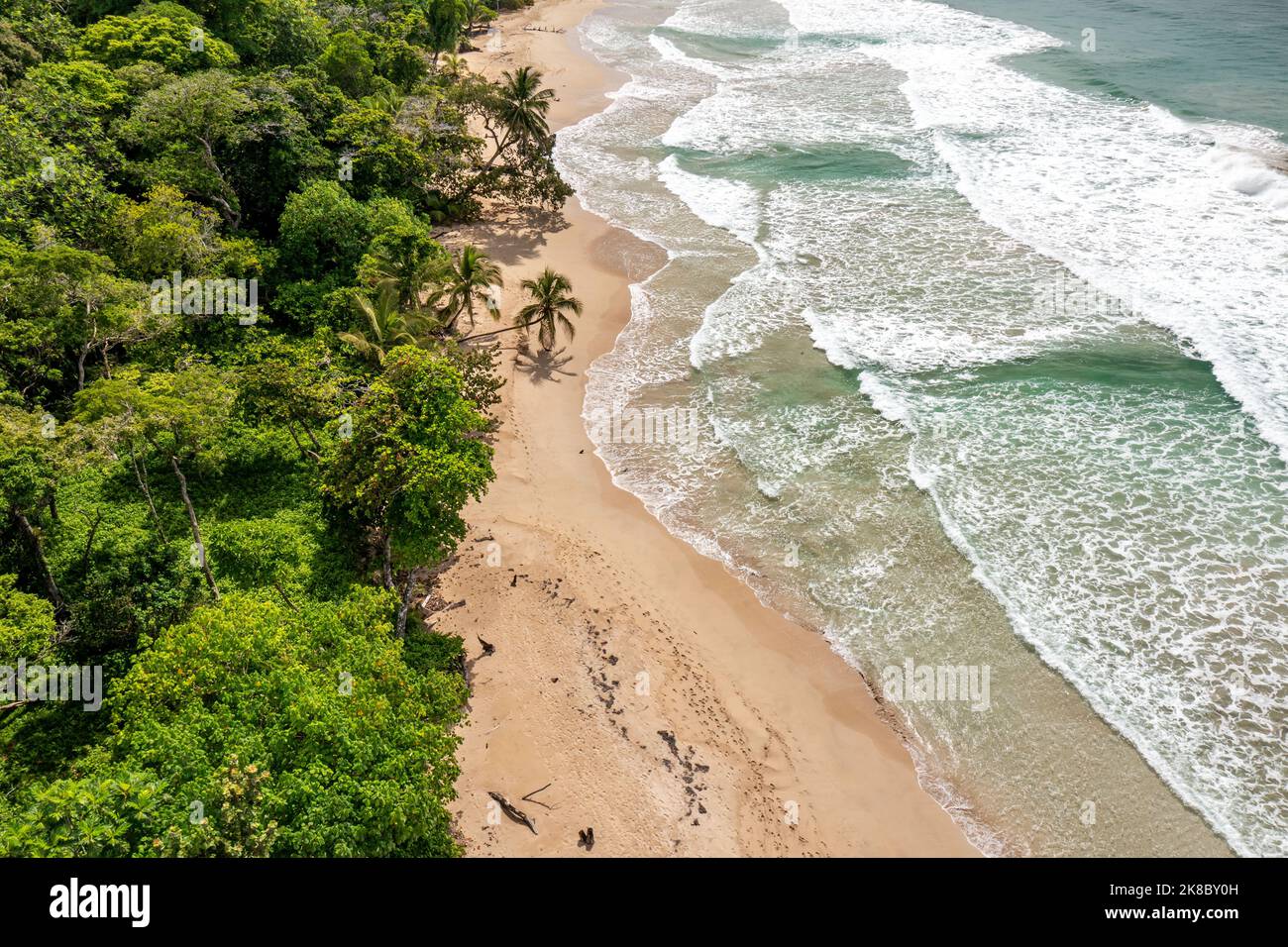 Panama. Vista aerea dell'isola tropicale. Linea costiera selvaggia lussureggiante giungla verde esotica. Red Frog Beach a Bastimentos Island, Bocas del Toro, America Centrale Foto Stock