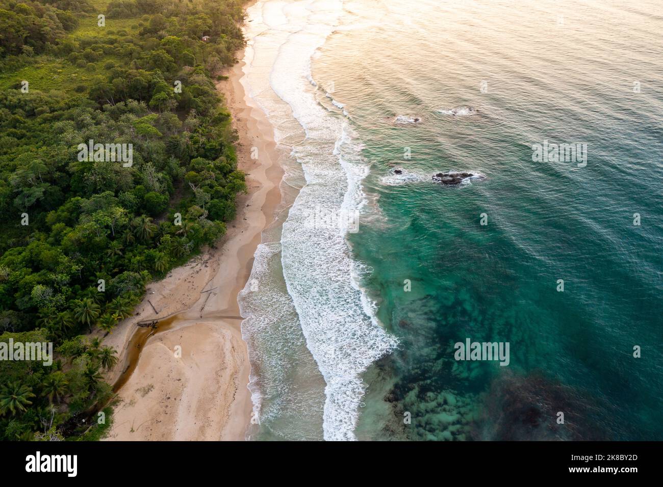 Panama. Vista aerea dell'isola tropicale. Linea costiera selvaggia lussureggiante giungla verde esotica. Red Frog Beach a Bastimentos Island, Bocas del Toro, America Centrale Foto Stock