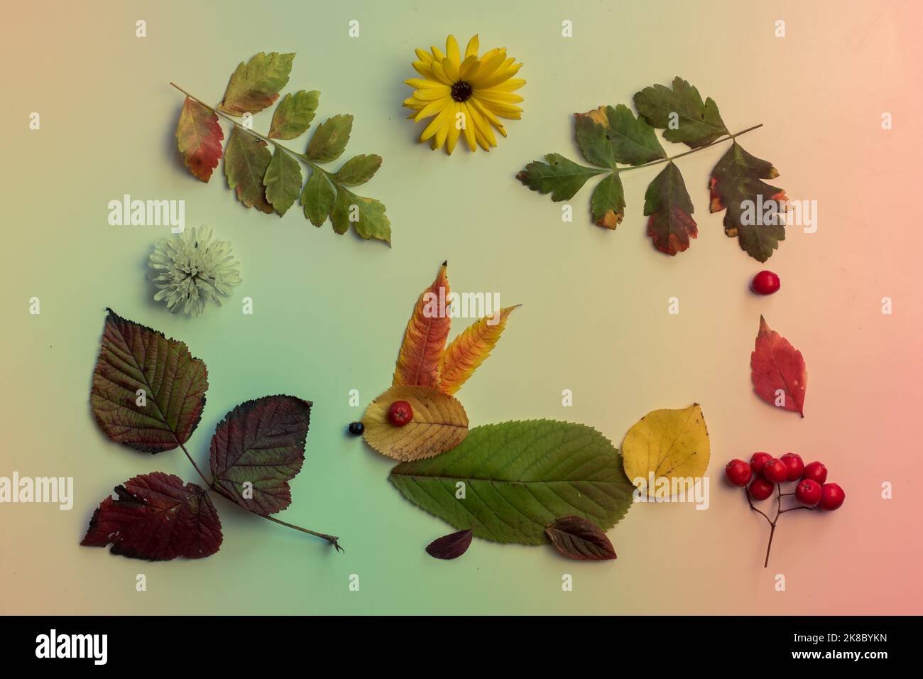 coniglio fatto di foglie colorate e fiori luminosi su sfondo bianco Foto Stock