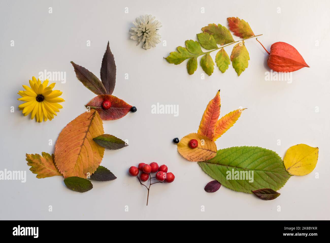 coniglio fatto di foglie colorate e fiori luminosi su sfondo bianco Foto Stock