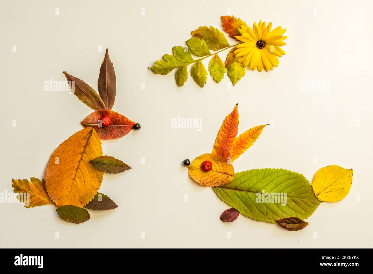coniglio fatto di foglie colorate e fiori luminosi su sfondo bianco Foto Stock