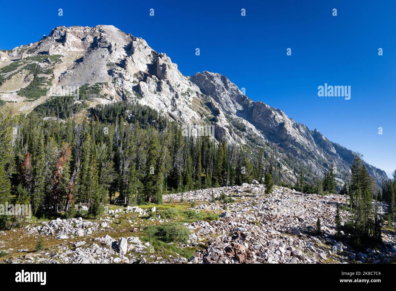 Il Monte Woodring sorge in alto sopra il Paintbrush Canyon superiore. Grand Teton National Park, Wyoming Foto Stock