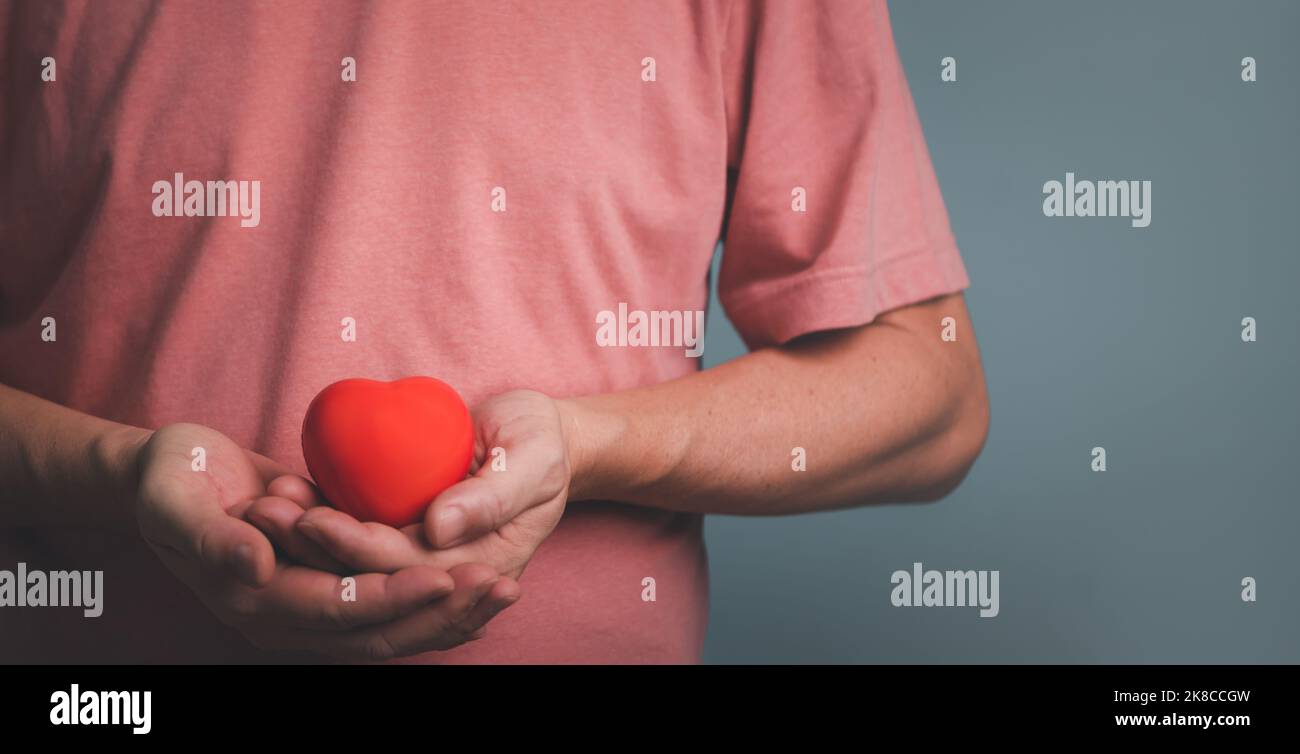 Mani che tengono e donano cuore rosso per amore, assistenza sanitaria, donazione di organi, giornata mondiale del cuore, giornata mondiale della salute, consapevolezza, benessere, assicurazione di famiglia Foto Stock