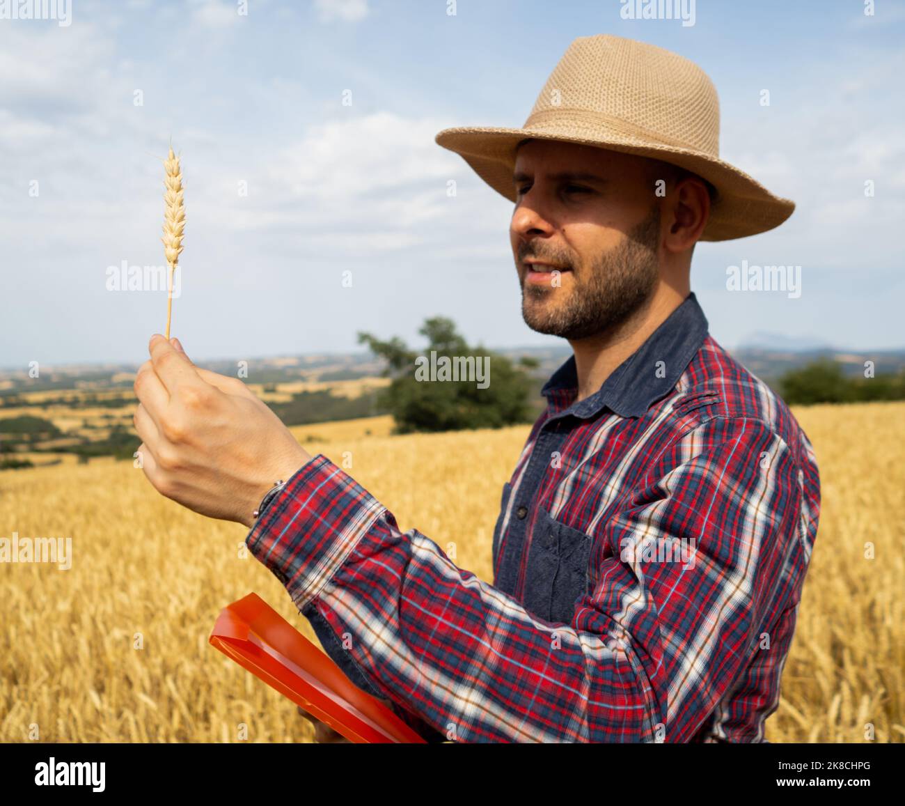Giovane agricoltore maschile osserva il raccolto di grano. Agricoltura ecologica. Foto Stock
