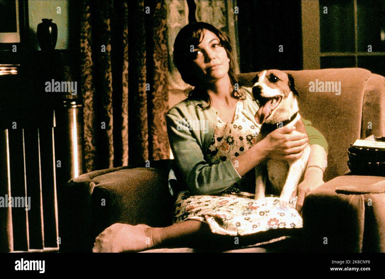 Diane Lane & Dog Film: My Dog Skip (2000) personaggi: Ellen Morris & regista: Jay Russell 08 gennaio 2000 **AVVERTENZA** questa fotografia è solo per uso editoriale ed è copyright di WARNER BROS e/o del fotografo assegnato dalla Film o dalla Production Company e può essere riprodotta solo da pubblicazioni in concomitanza con la promozione del film di cui sopra. È richiesto un credito obbligatorio a WARNER BROS. Il fotografo deve essere accreditato anche quando è noto. Nessun uso commerciale può essere concesso senza autorizzazione scritta da parte della Film Company. Foto Stock