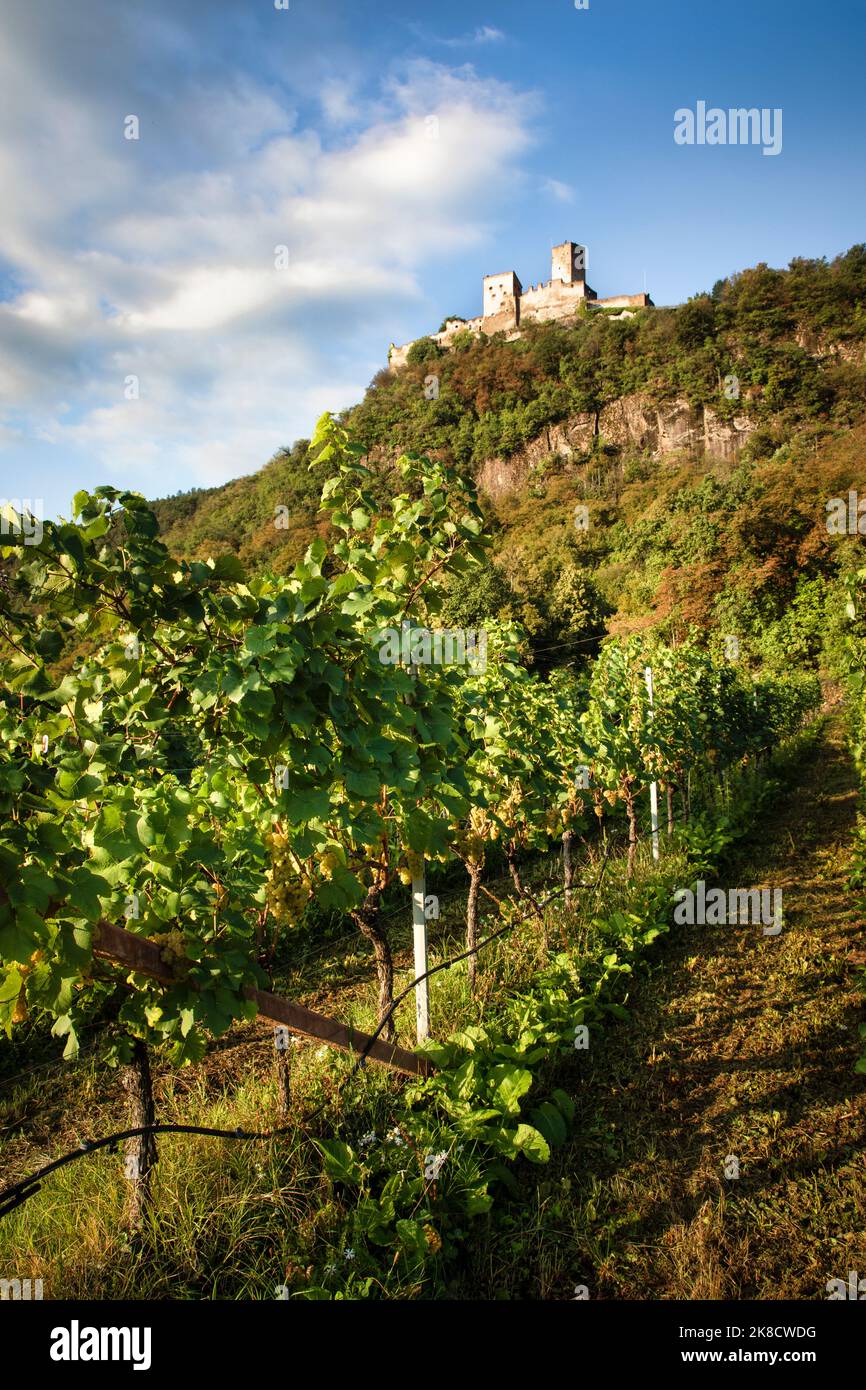 Castel d’Appiano si affaccia su Bolzano sulle pendici occidentali fuori Bolzano. Foto Stock