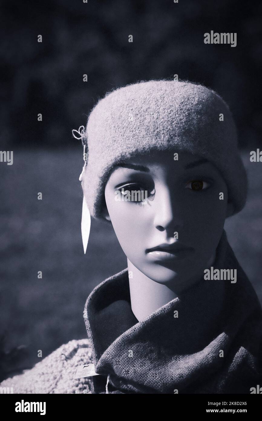 Ritratto di testa di manichino surreale e scricchiolante Foto Stock