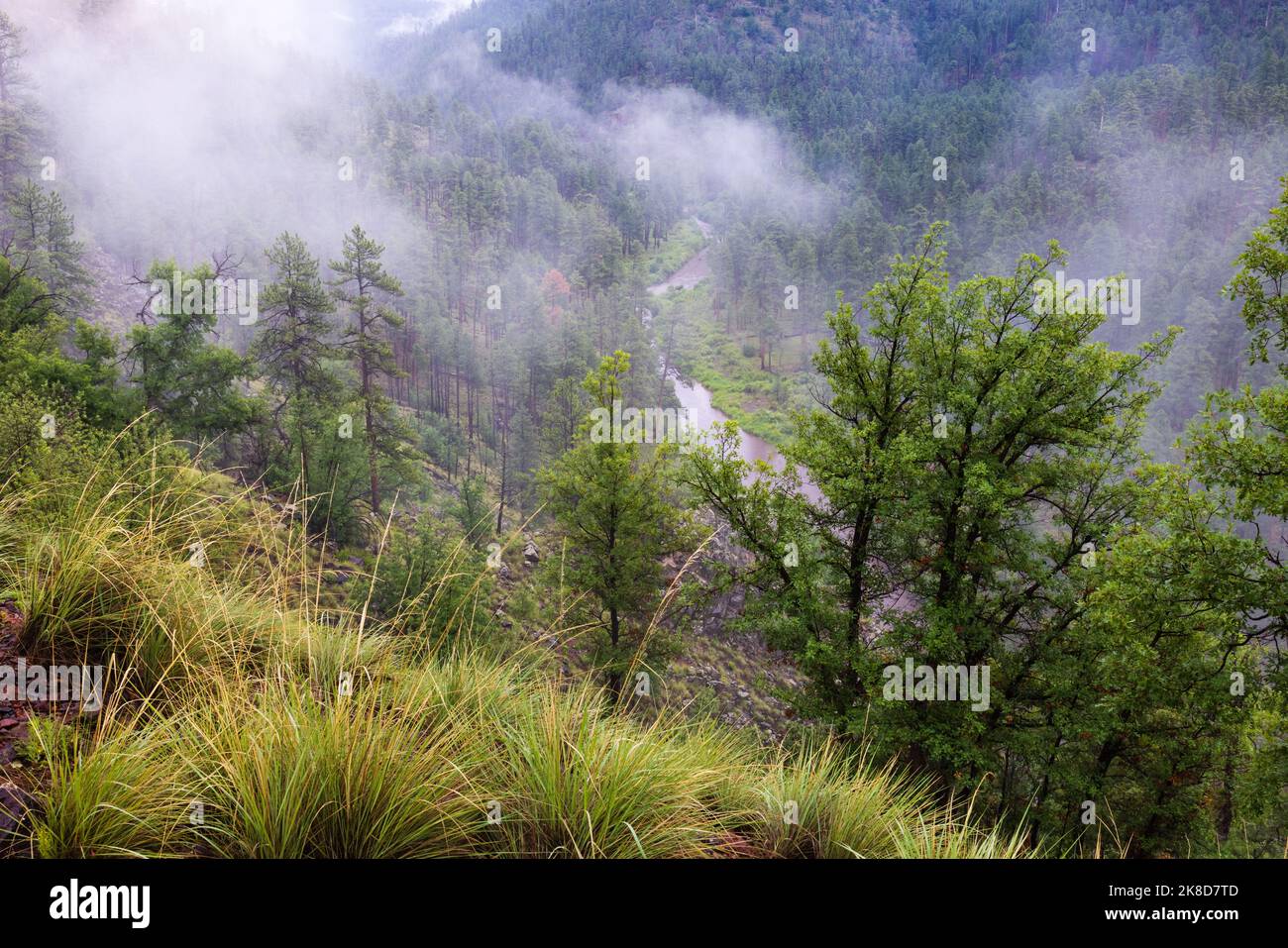 Il Black River si snoda attraverso un canyon misteriosa vicino ad Alpine, Arizona. Foto Stock