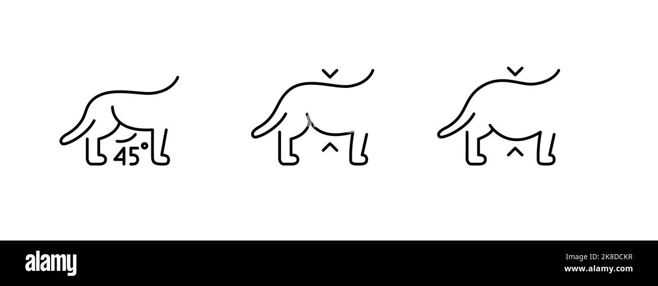 Scala di obesità del cane. Icona della linea di tratto modificabile pixel Perfect Illustrazione Vettoriale