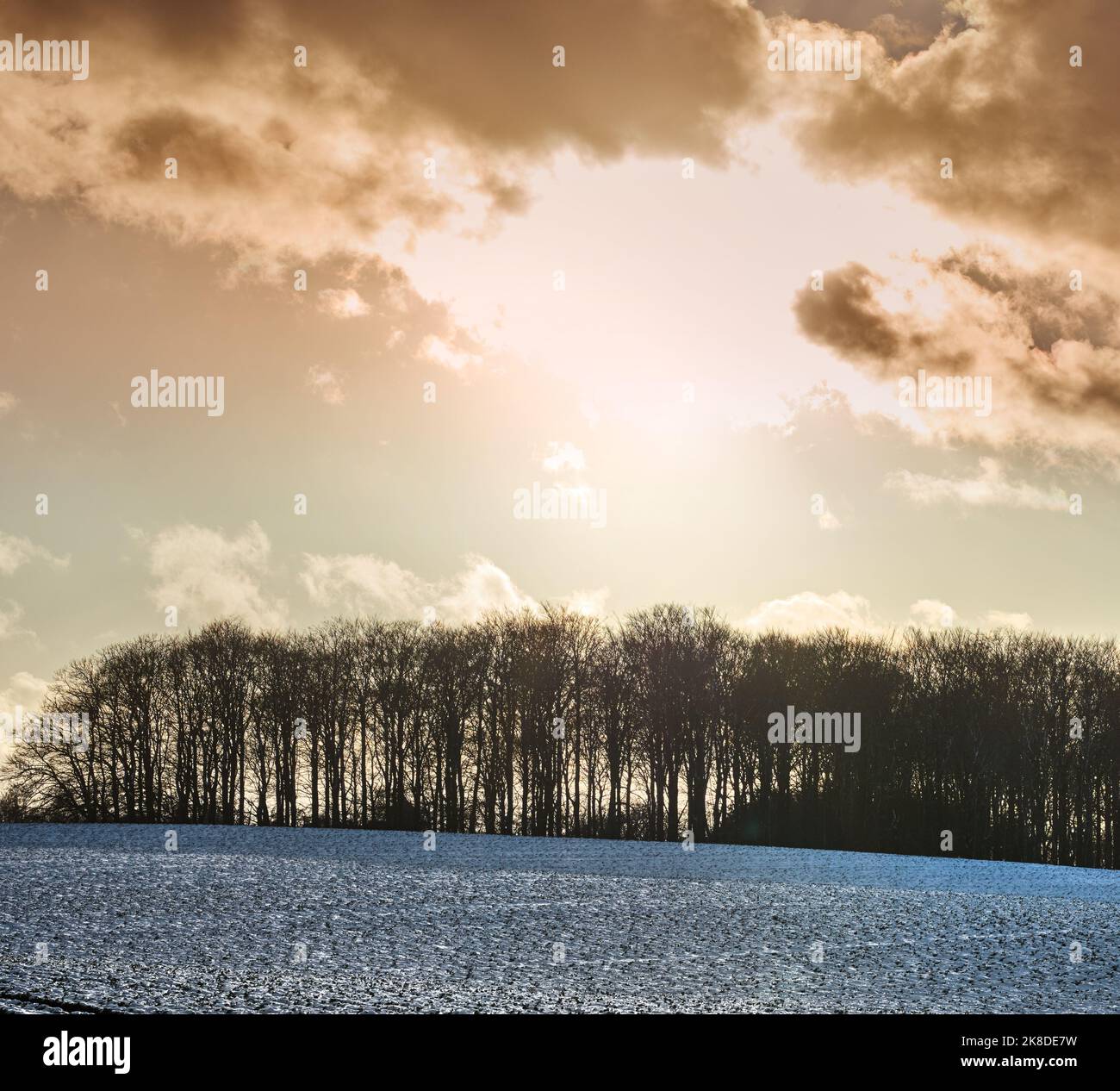 Inverno - Campagna in Danimarca. Paesaggio invernale in una giornata di sole con cielo blu. Foto Stock