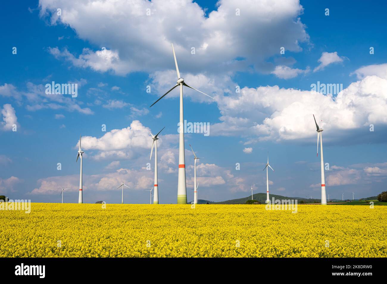 Turbine eoliche in un giacimento di canola in espansione visto in Germania Foto Stock