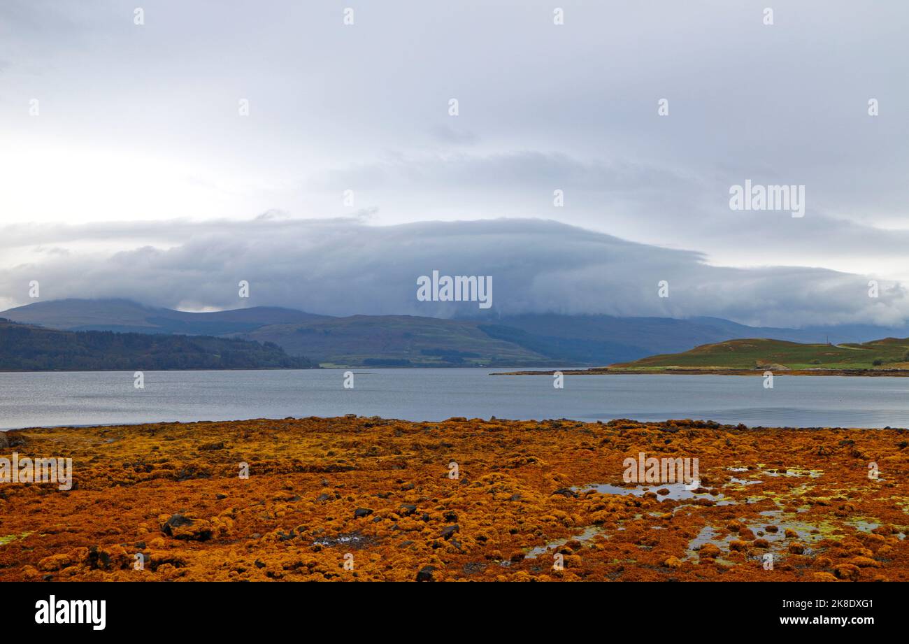 Una vista sul litorale di Loch Scridain verso Ardmeach dalla strada A849 a Brolass, Isola di Mull, Argyll e Bute, Scozia. Foto Stock