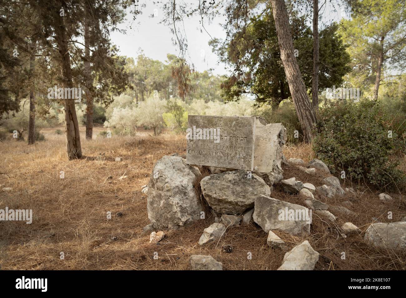 La regina Elisabetta incoronazione foresta segno, bassa Galilea, Israele Foto Stock