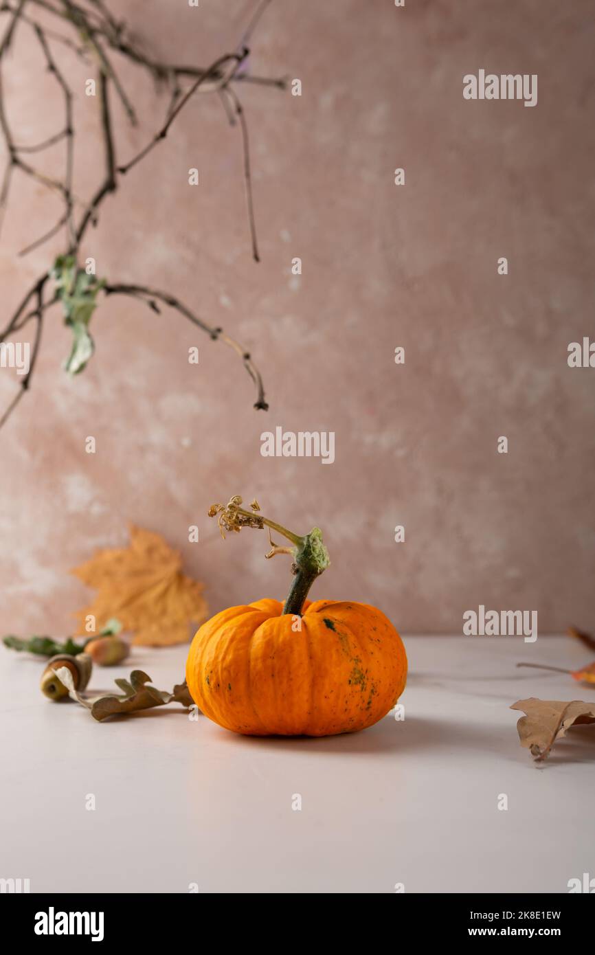 Composizione autunnale con piccolo sfondo di festa di zucca Halloween Foto Stock