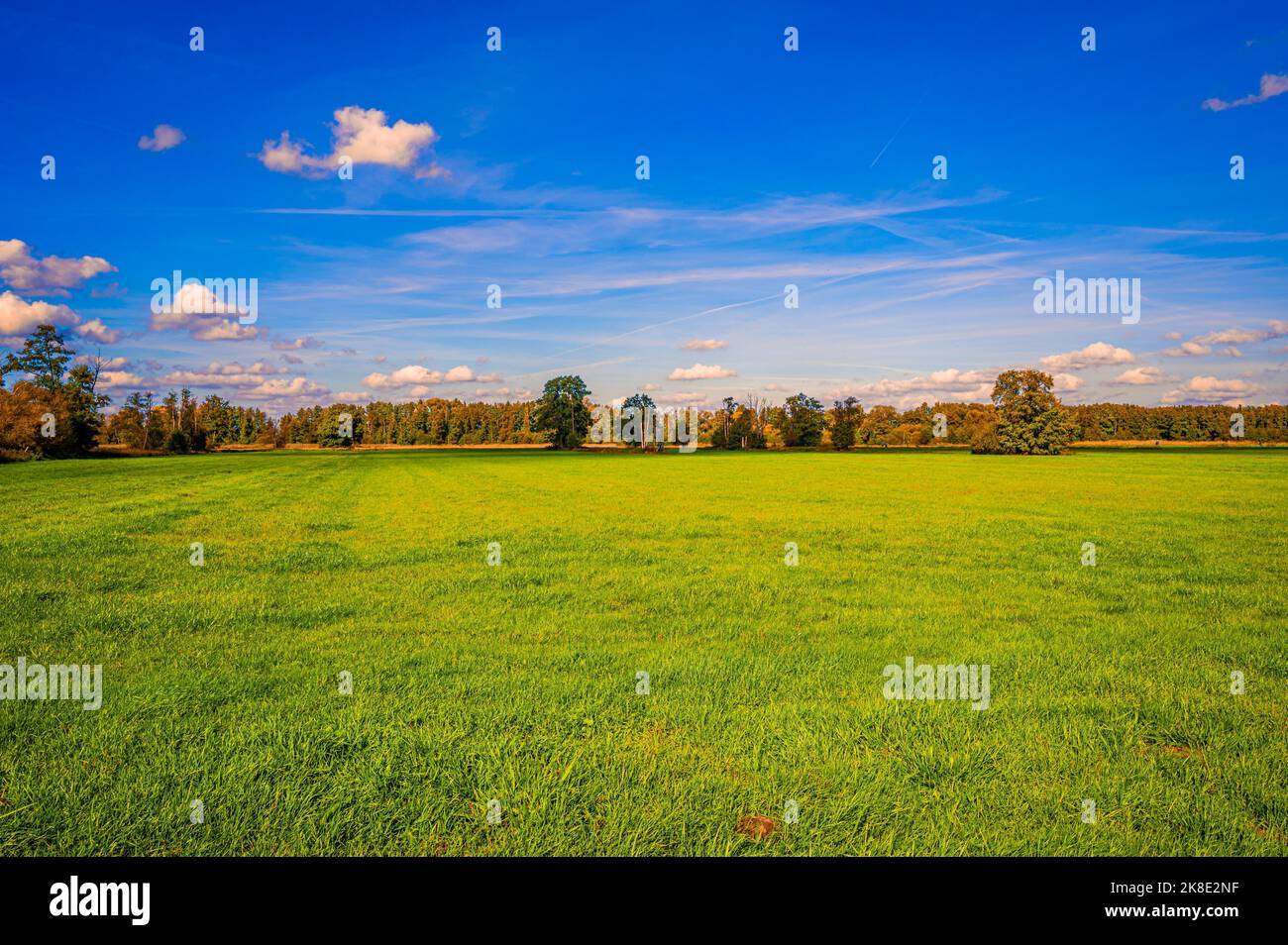 Un fieno di grano coperto di erba in autunno, con un cielo blu, nuvole di primavera e una foresta sullo sfondo, Hagenburg, bassa Sassonia, Germania Foto Stock