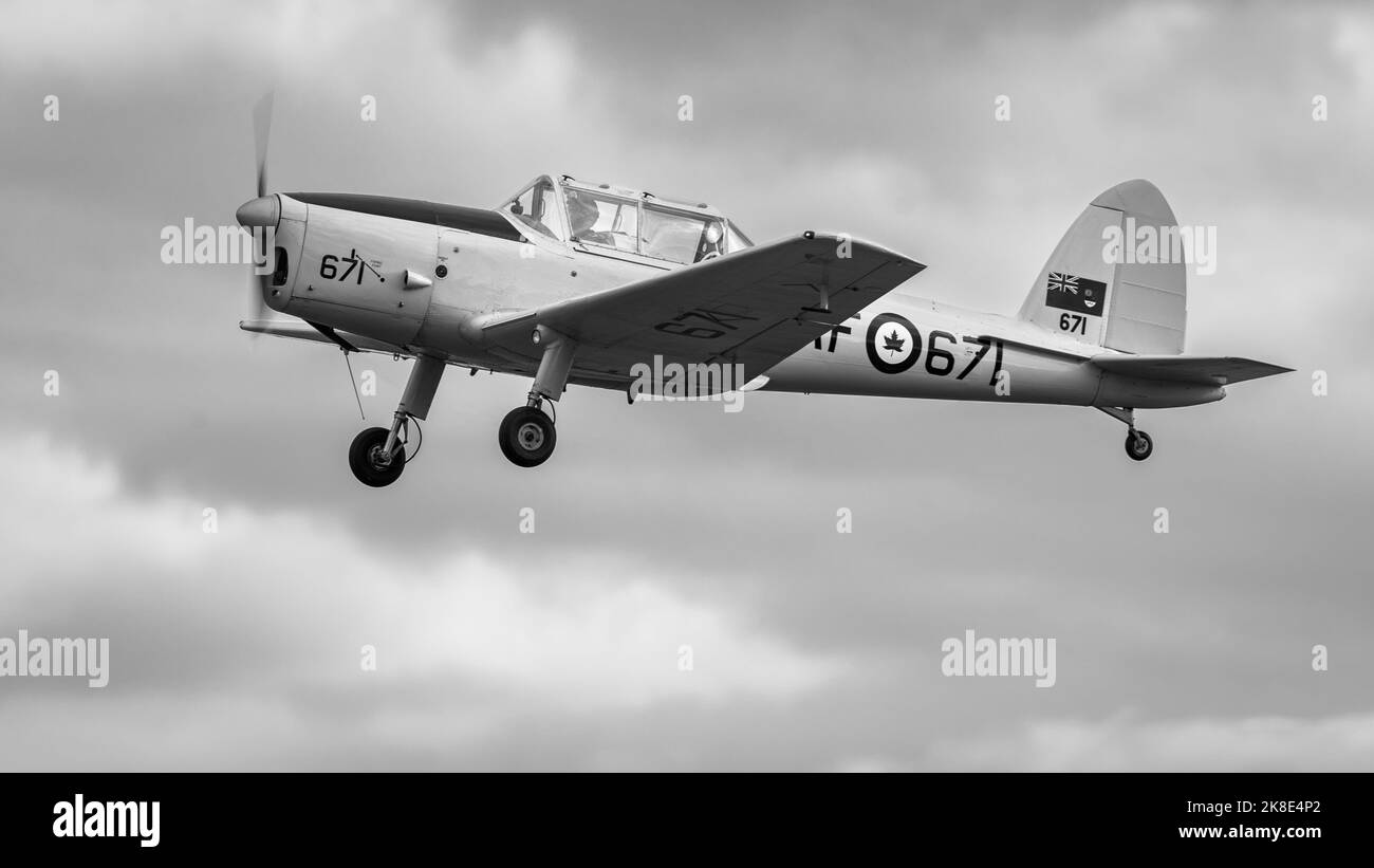 1952 DHC Chipmunk T.22 ‘G-BNZC’ in volo al Race Day Airshow tenutosi a Shuttleworth il 2nd ottobre 2022 Foto Stock