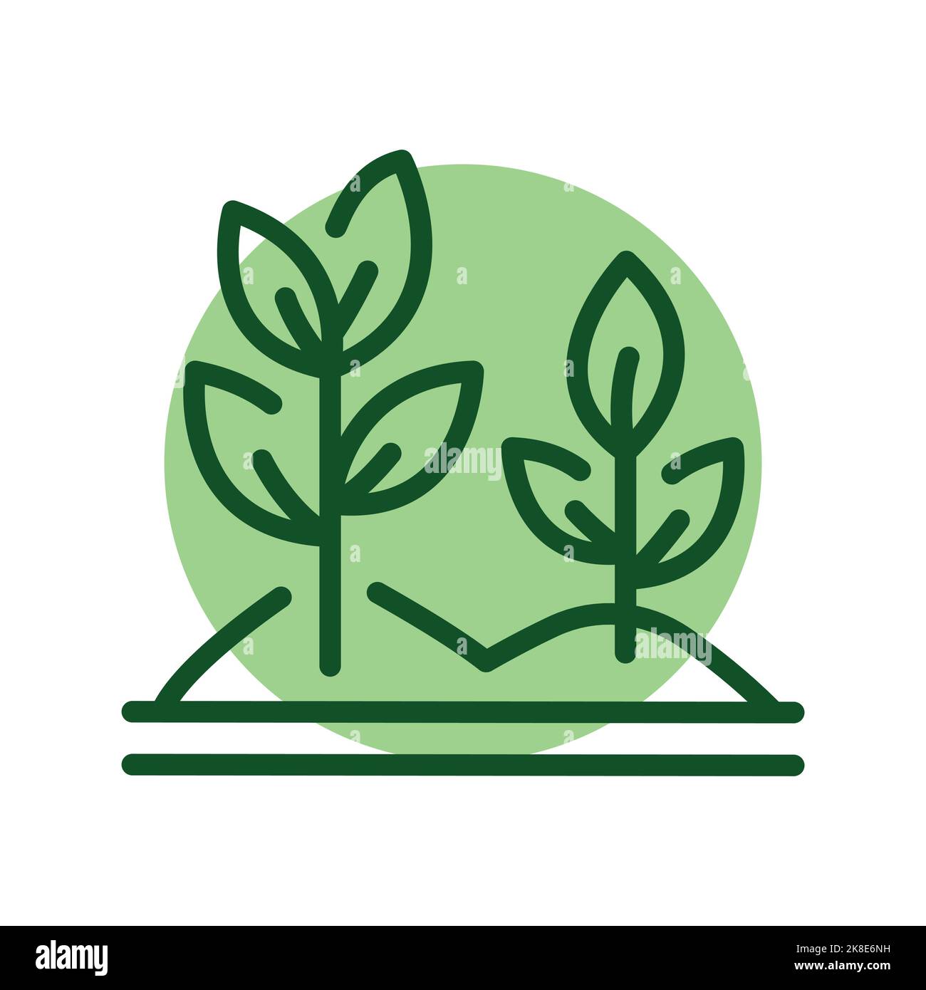 Piante crescenti colore linea icona. Servizio giardino. Illustrazione Vettoriale