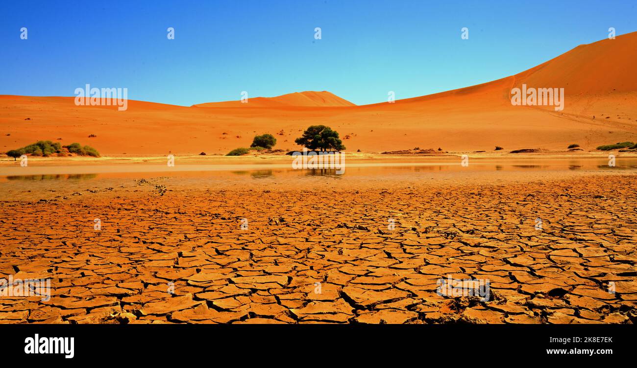 Letto Dry River con fango secco e argilla incrinato lasciando un effetto craquelure nel deserto del Namib che conduce alle dune di sabbia di Sossusvlei Foto Stock