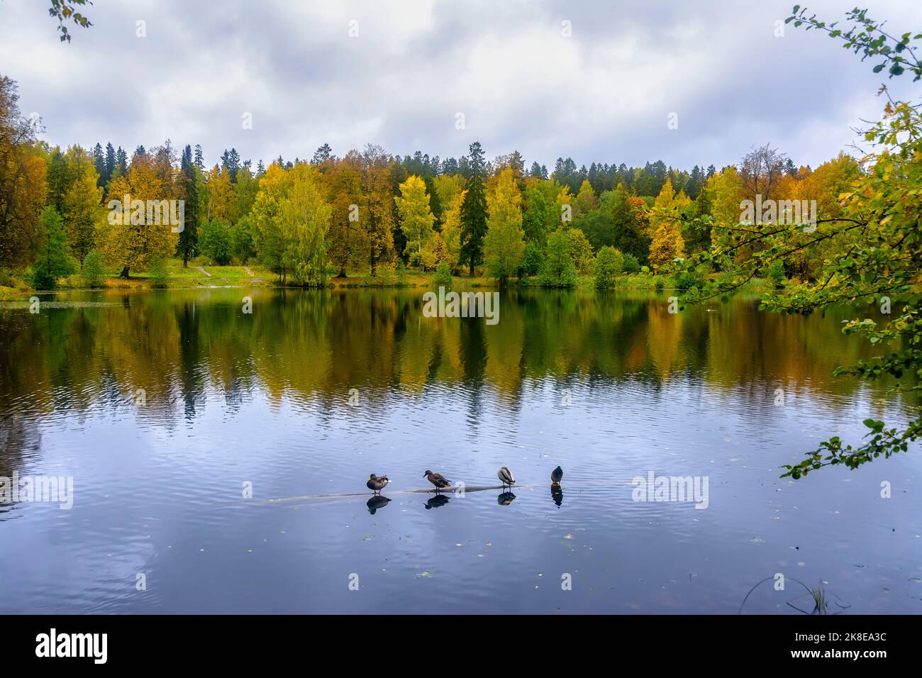 Paesaggi del Parco Shuvalovsky a San Pietroburgo nel nuvoloso clima autunnale. Foto Stock