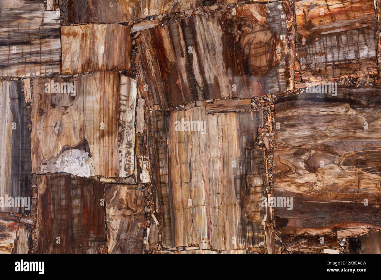 Legno pietrificato struttura lastra primo piano. Semipreziose, pietre preziose per pareti in ceramica, piastrelle digitali per pavimenti. Materiale opaco per interni ed esterni unici Foto Stock
