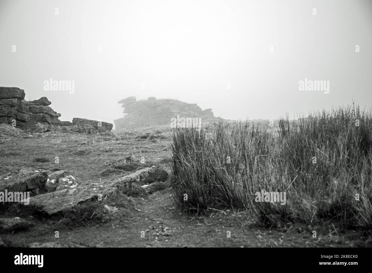 Anche le pecore si sono perse nella nebbia Foto Stock