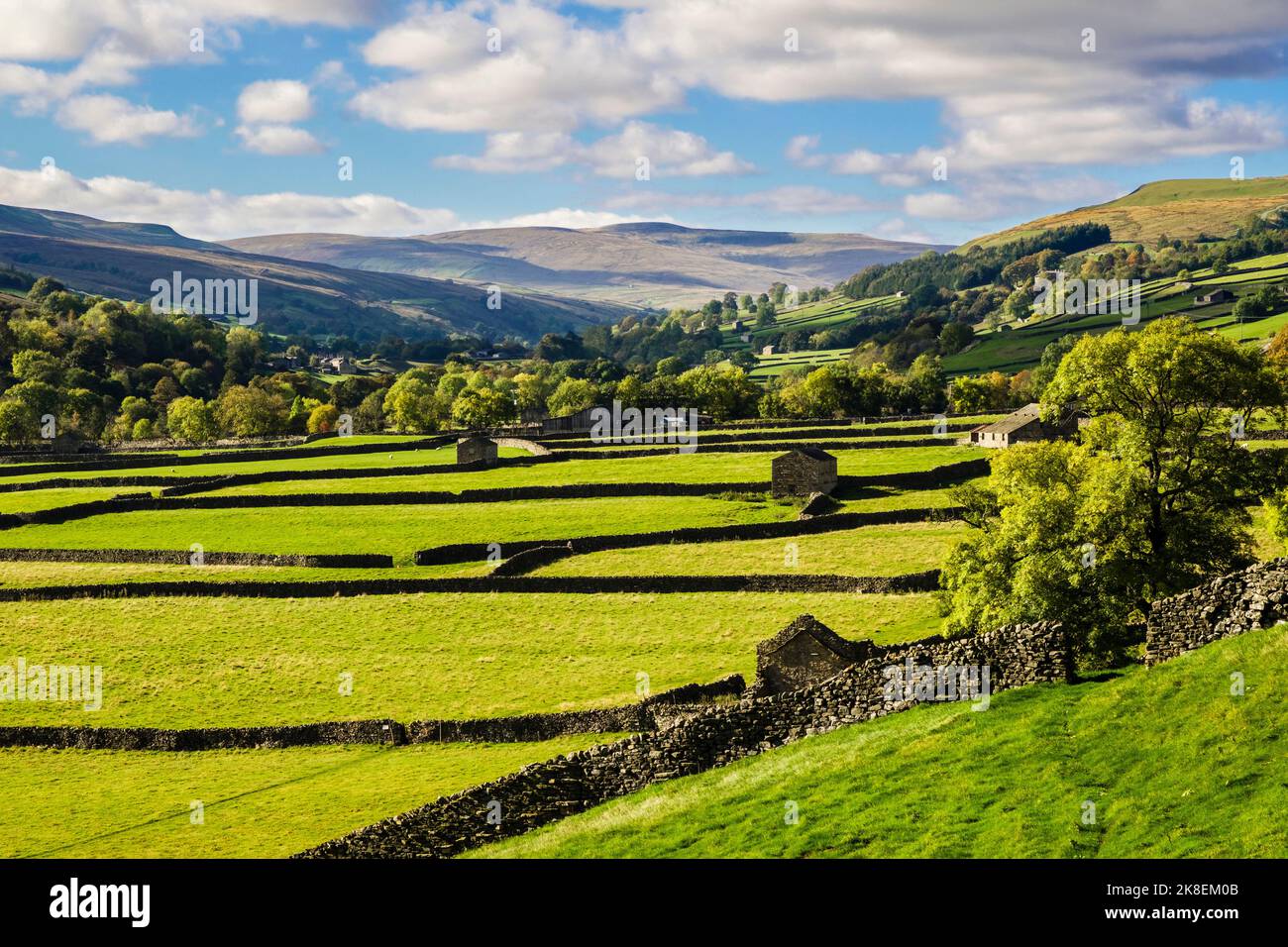 Paesaggio di campagna inglese soleggiato con fienili e muri a secco nel Parco Nazionale Yorkshire Dales. Gunnerside, Swaledale, Yorkshire settentrionale, Inghilterra, Regno Unito Foto Stock