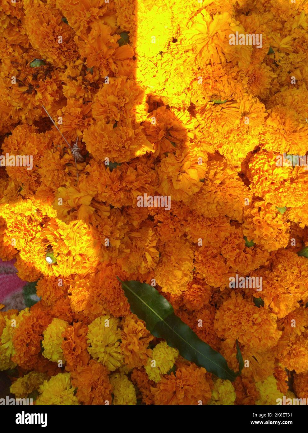 Foto full frame di fiori di colore arancio nel mercato/Diwali/Deepavali festival Foto Stock