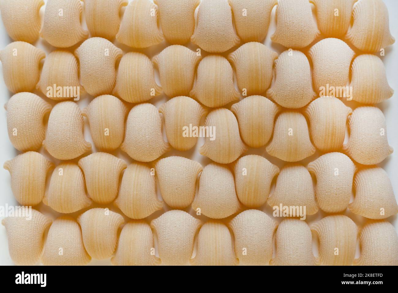 Gusci di pasta secca o chiocciole. Motivo per carta da parati. Pasta italiana classica cruda sfondo Foto Stock