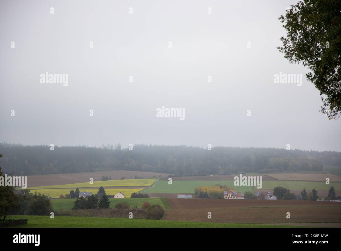 mattina misty nella campagna vicino a Regensburg in autunno. Foto di alta qualità Foto Stock