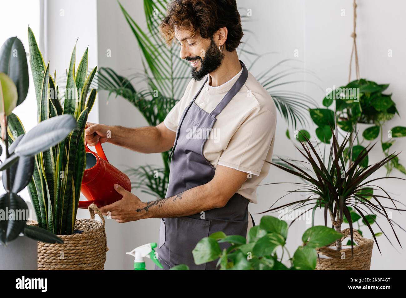 Uomo sorridente che innaffia la pianta dalla lattina al negozio della pianta Foto Stock