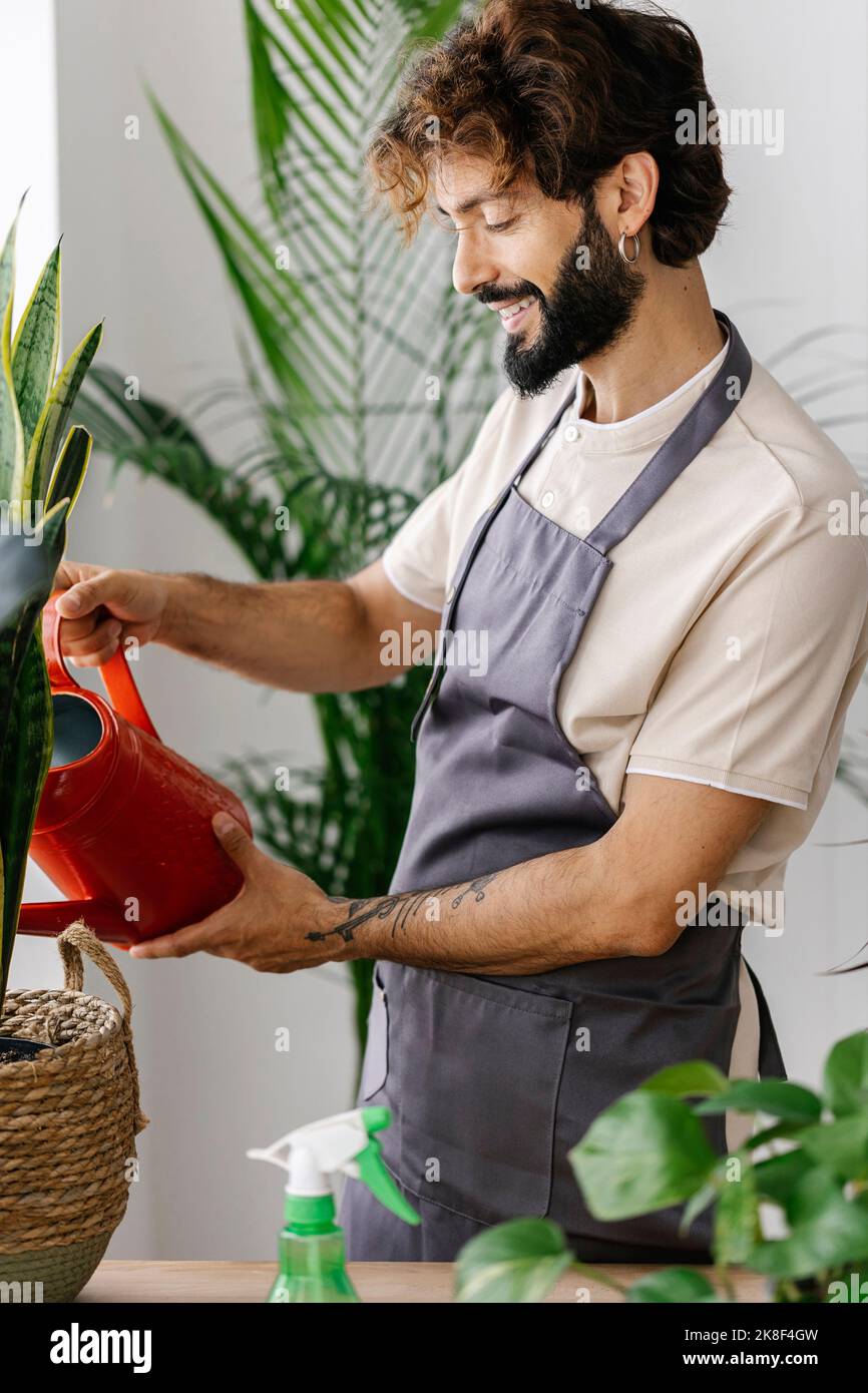 Uomo felice innaffiando pianta da lattine al negozio di pianta Foto Stock