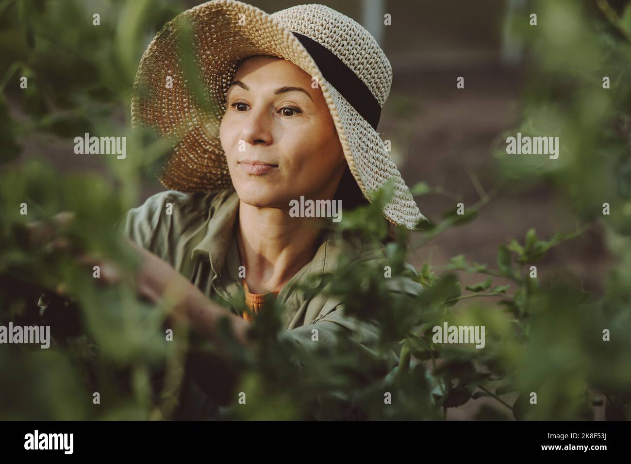Donna con cappello che lavora in orto Foto Stock