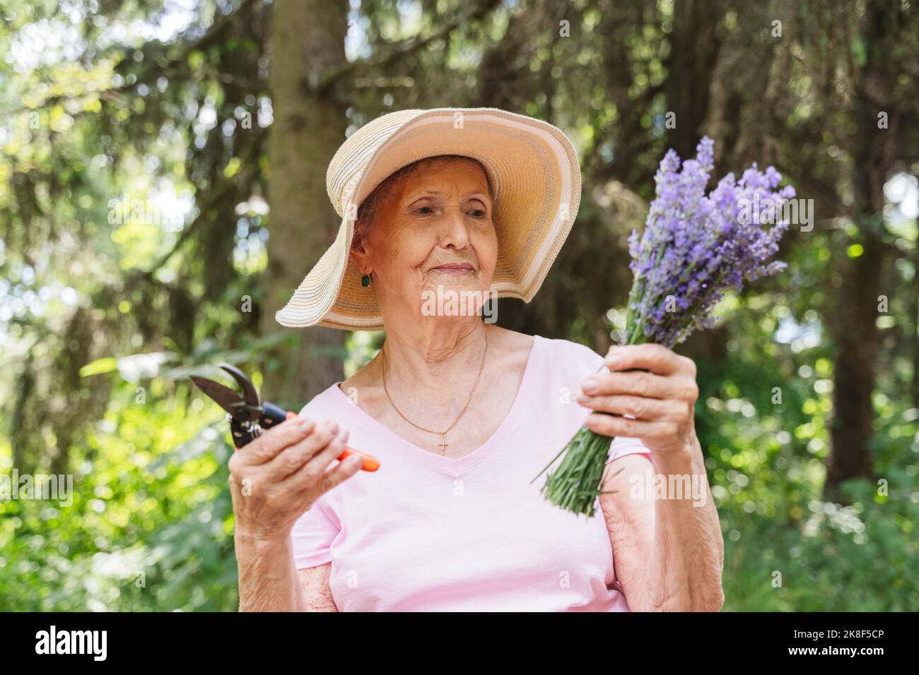 Donna anziana con cesoie per potatura che tengono mazzo di fiori di lavanda Foto Stock