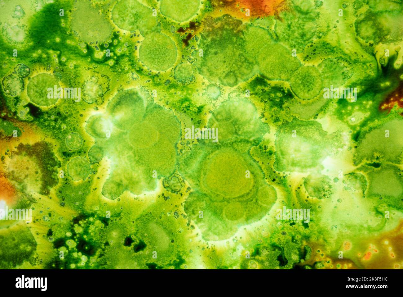 Struttura organica realizzata con acquerello liquido verde e arancione su carta bianca che simula foglie e concetti di natura e salute Foto Stock