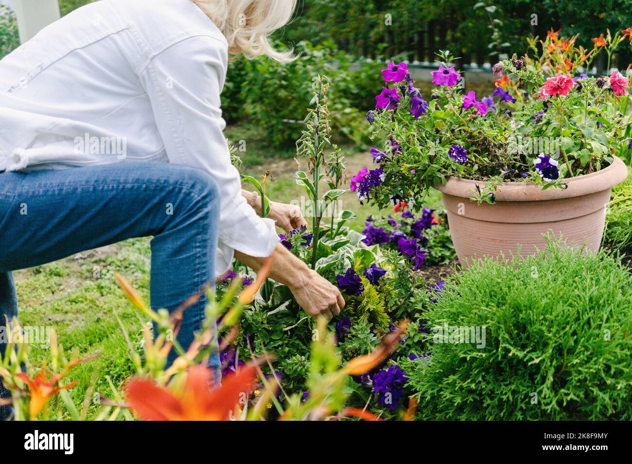 Donna anziana che si prende cura delle piante in giardino Foto Stock