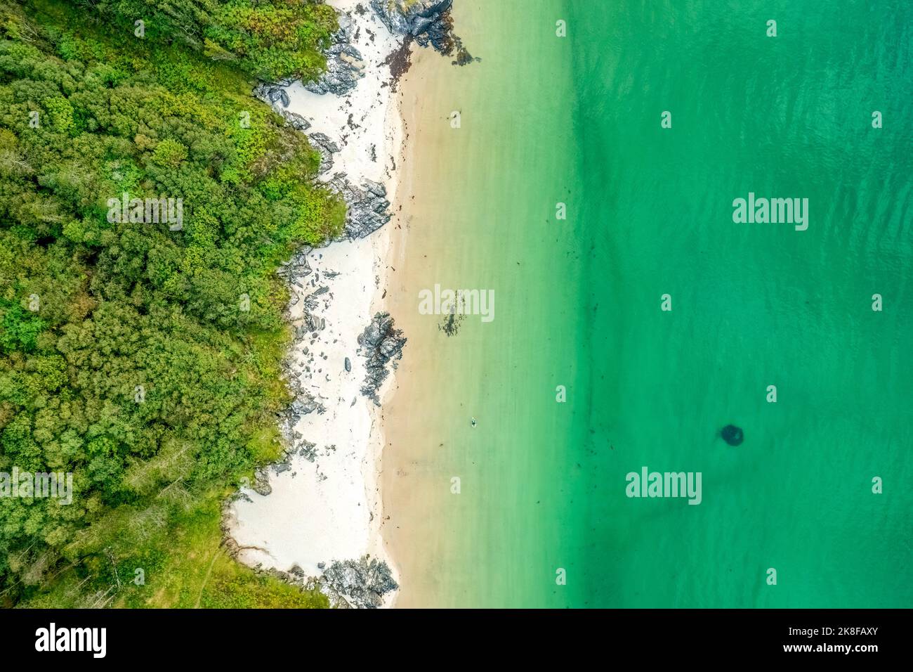 Vista panoramica della spiaggia di Singing Sands, Scozia Foto Stock