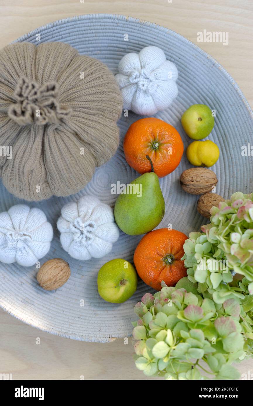 Pere, tangerini, noci, zucche di lana, calze e ortensie in fiore Foto Stock